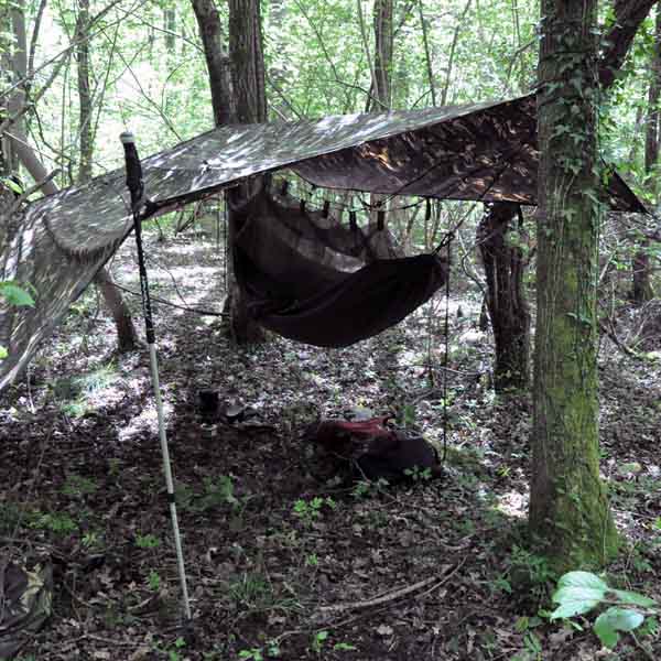 A full hammock camping setup with a 3m basha providing shelter and porch space, making effective use of the forest and some walking poles.